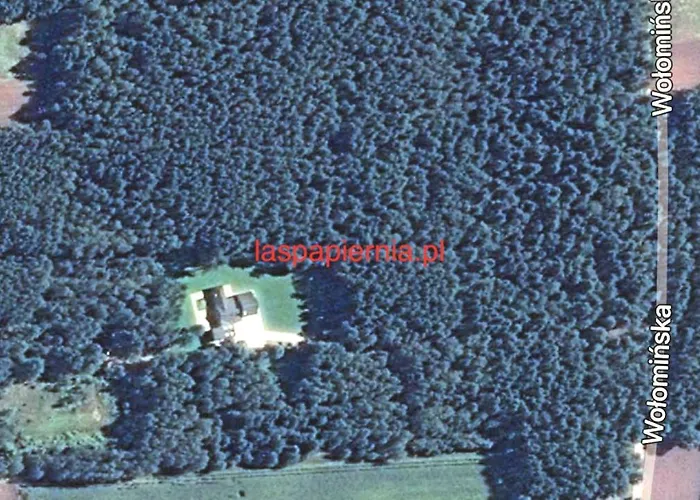 Dom Imprezowy Laspapiernia Willa